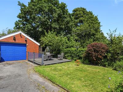 Picture 25